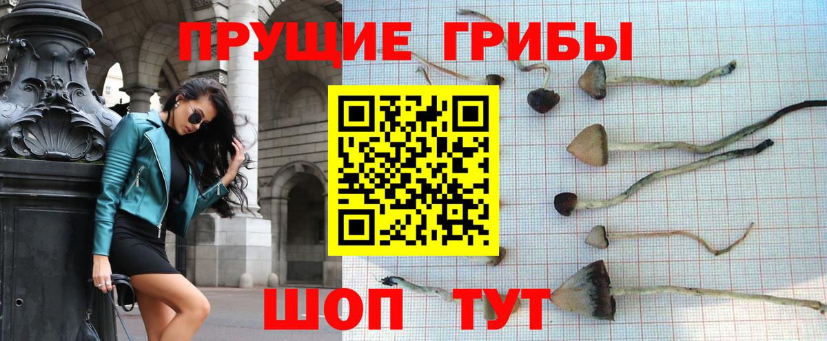 Галлюциногенные грибы мухоморы Евпатория