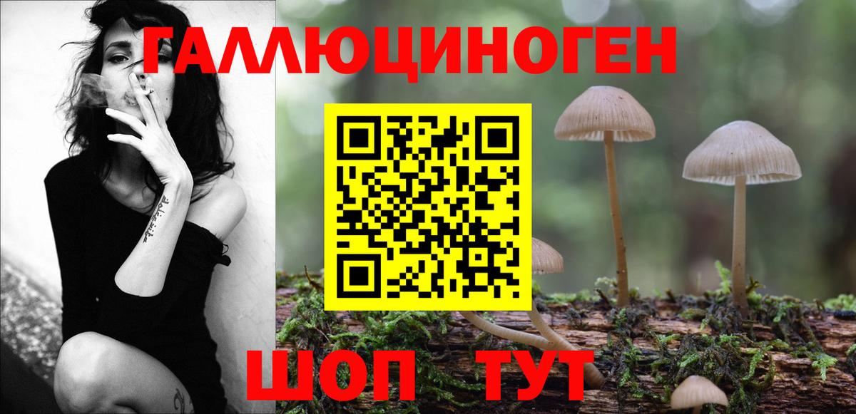 сколько стоит  Вход с VPN  Евпатория  Галлюциногенные грибы ЛСД  Галлюциногенные грибы мицелий 
